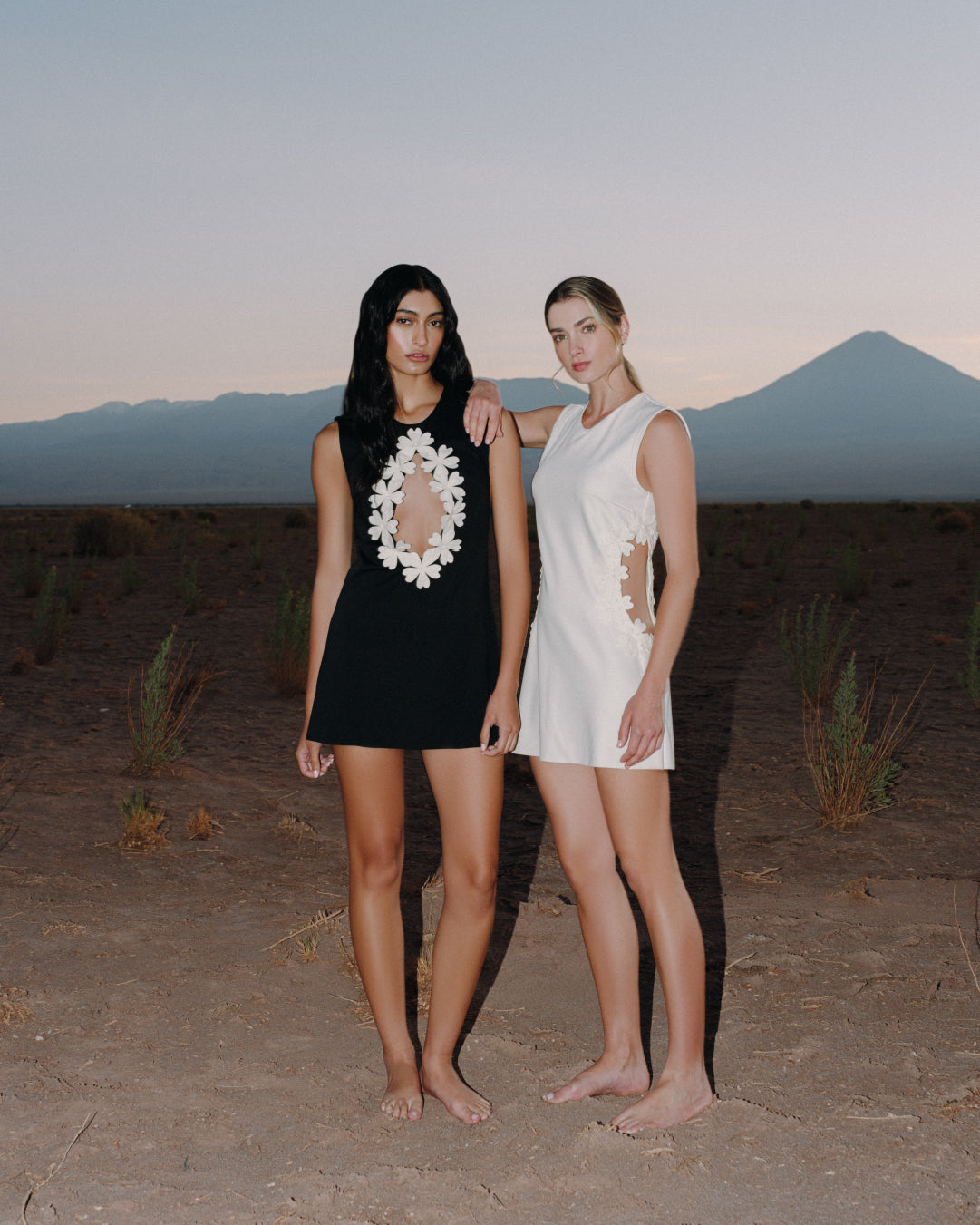 ALEJANDRA DRESS